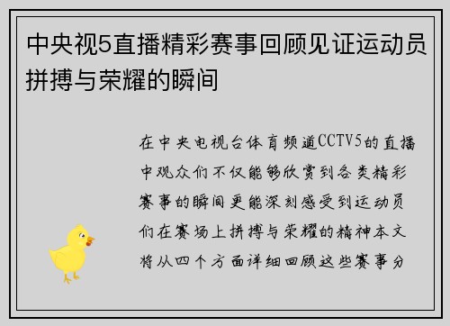 中央视5直播精彩赛事回顾见证运动员拼搏与荣耀的瞬间